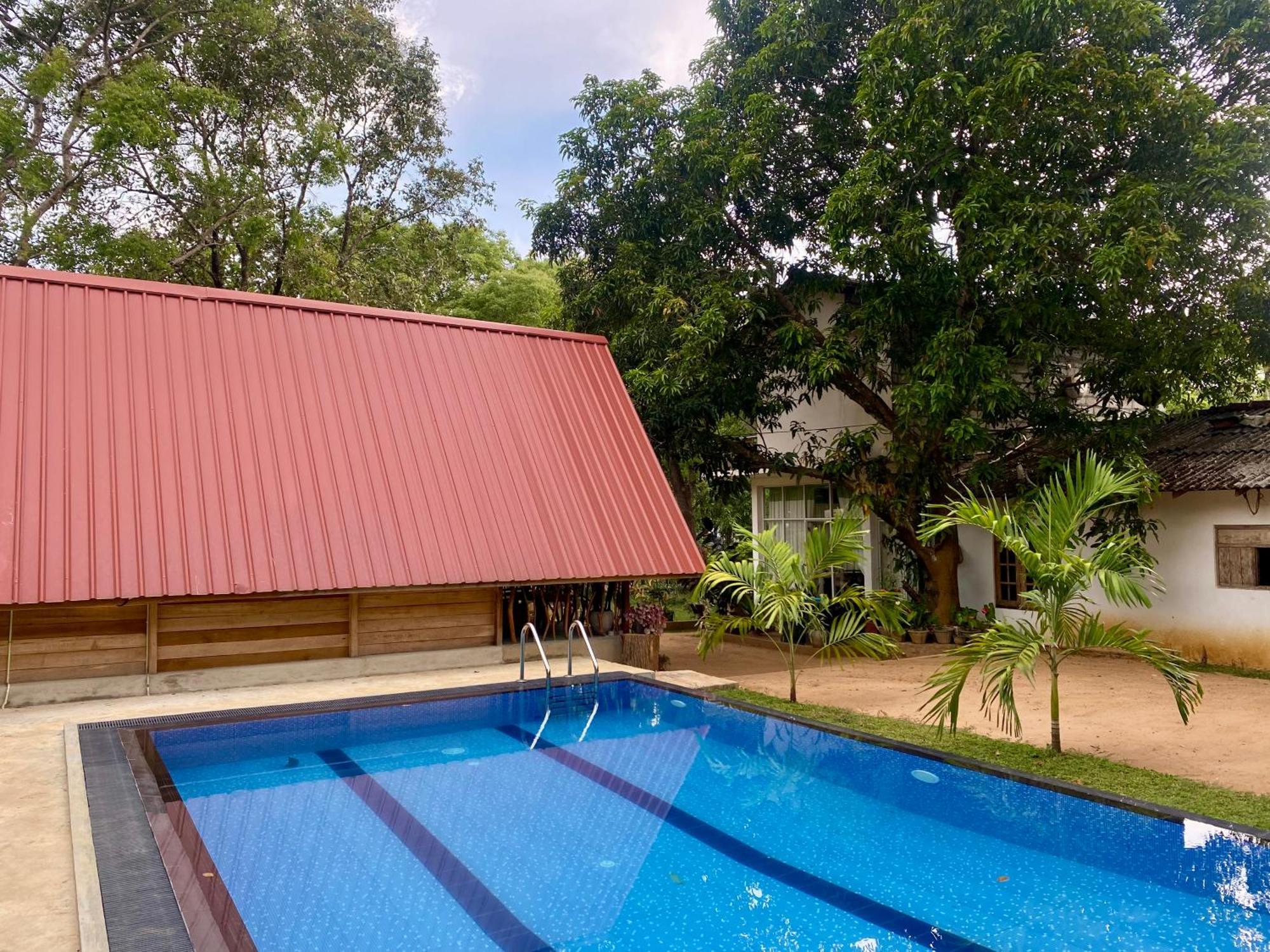 Habarana New Star Homestay Exteriér fotografie