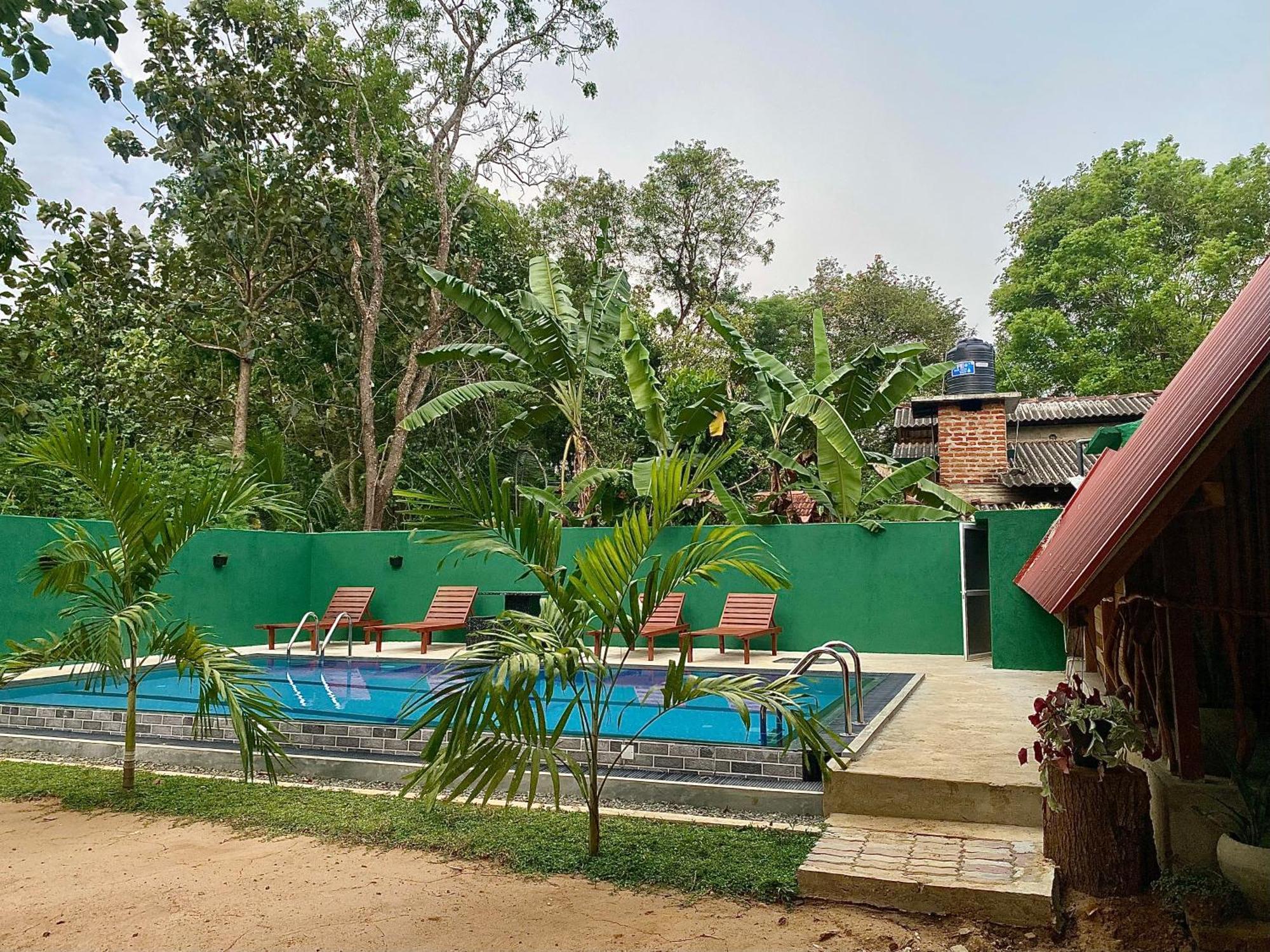 Habarana New Star Homestay Exteriér fotografie