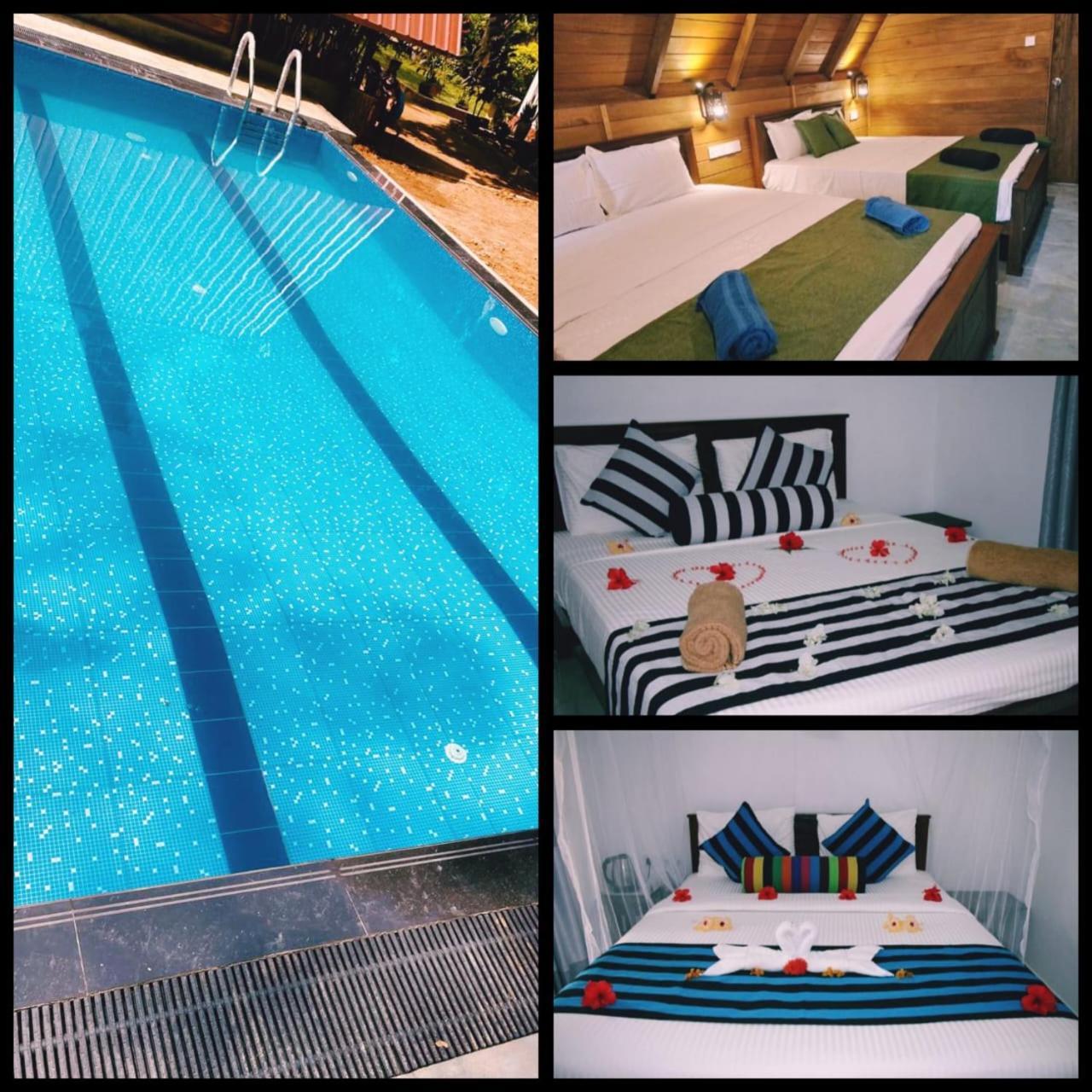 Habarana New Star Homestay Exteriér fotografie
